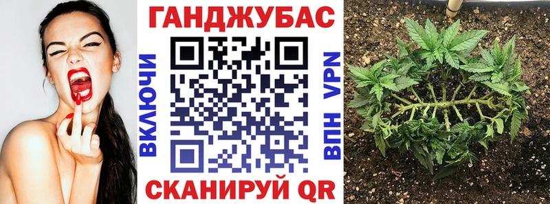 Канабис OG Kush  Купить где  Семёнов 